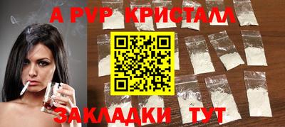 стаф Можга