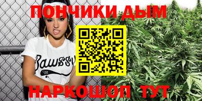 стаф Можга