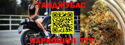 стаф Можга