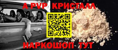 стаф Можга